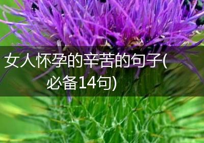 女人怀孕的辛苦的句子(必备14句)
