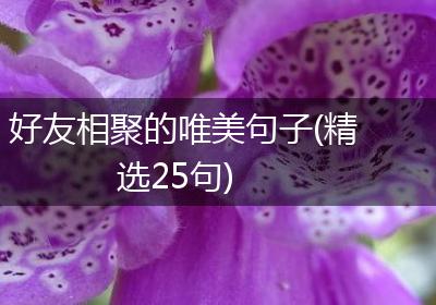 好友相聚的唯美句子(精选25句)