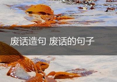 废话造句 废话的句子
