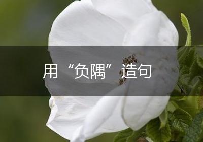 用“负隅”造句