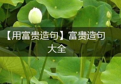【用富贵造句】富贵造句大全