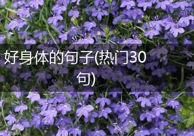 好身体的句子(热门30句)