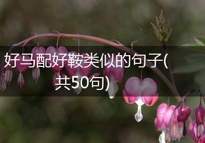 好马配好鞍类似的句子(共50句)