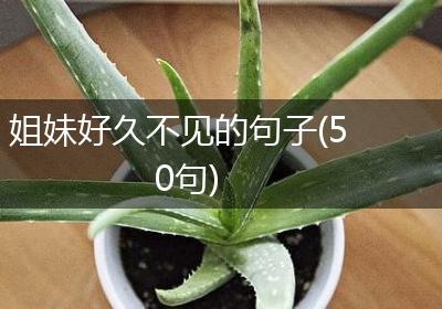 姐妹好久不见的句子(50句)