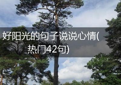 好阳光的句子说说心情(热门42句)