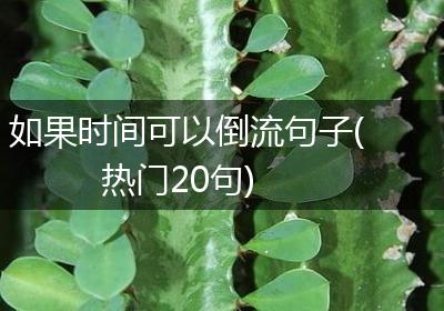 如果时间可以倒流句子(热门20句)