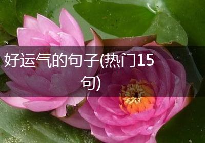 好运气的句子(热门15句)