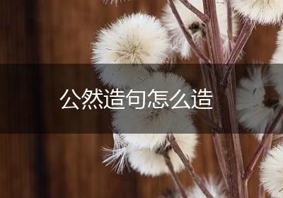 公然造句怎么造