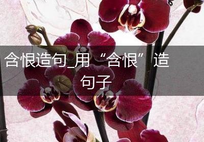 含恨造句_用“含恨”造句子