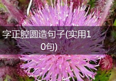 字正腔圆造句子(实用10句)