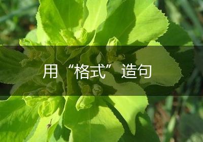 用“格式”造句