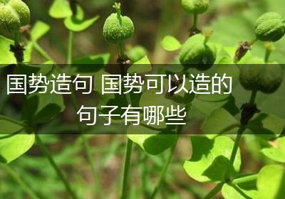 国势造句 国势可以造的句子有哪些