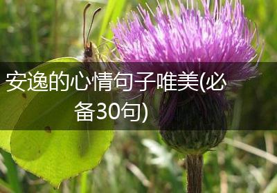 安逸的心情句子唯美(必备30句)