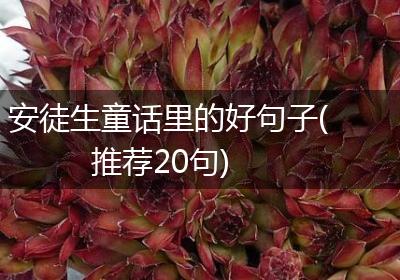 安徒生童话里的好句子(推荐20句)
