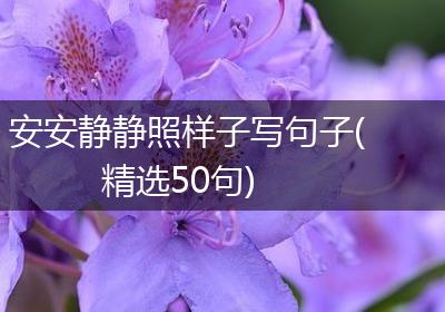 安安静静照样子写句子(精选50句)