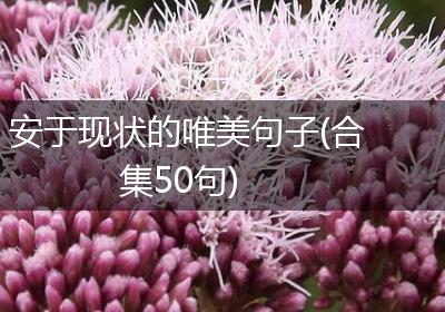 安于现状的唯美句子(合集50句)