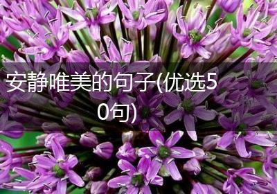 安静唯美的句子(优选50句)