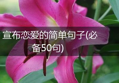 宣布恋爱的简单句子(必备50句)