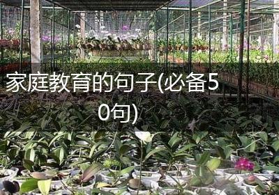 家庭教育的句子(必备50句)
