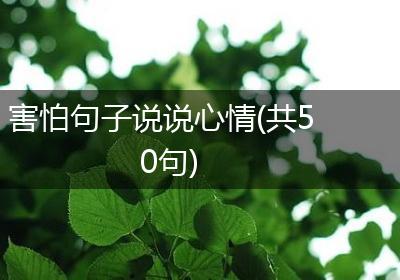 害怕句子说说心情(共50句)