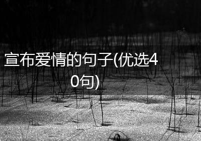 宣布爱情的句子(优选40句)