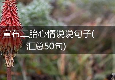 宣布二胎心情说说句子(汇总50句)