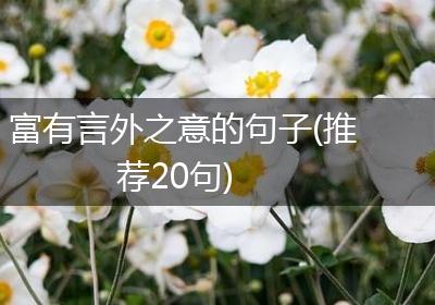 富有言外之意的句子(推荐20句)