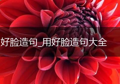 好脸造句_用好脸造句大全