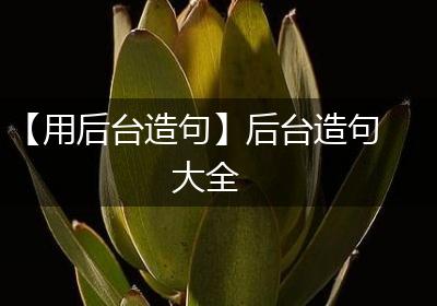 【用后台造句】后台造句大全