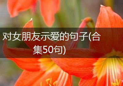 对女朋友示爱的句子(合集50句)