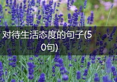 对待生活态度的句子(50句)