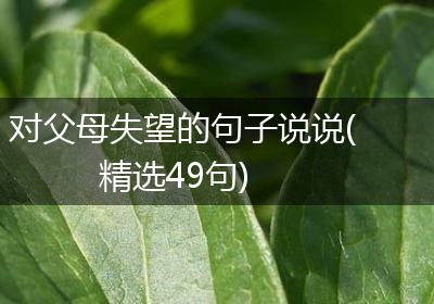 对父母失望的句子说说(精选49句)