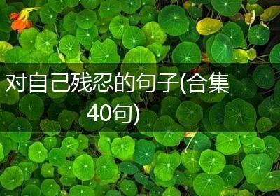 对自己残忍的句子(合集40句)