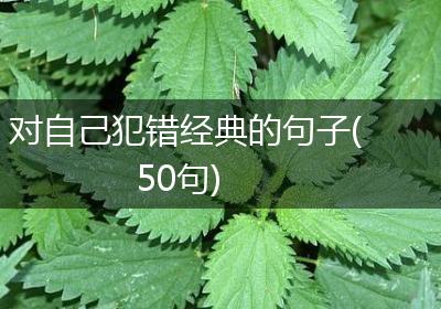 对自己犯错经典的句子(50句)