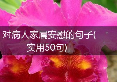 对病人家属安慰的句子(实用50句)