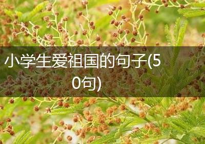 小学生爱祖国的句子(50句)