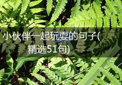 小伙伴一起玩耍的句子(精选51句)
