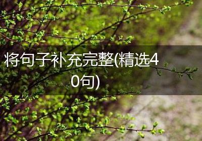 将句子补充完整(精选40句)