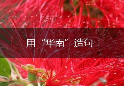用“华南”造句