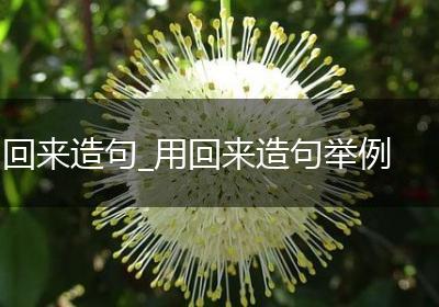 回来造句_用回来造句举例
