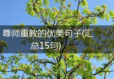 尊师重教的优美句子(汇总15句)