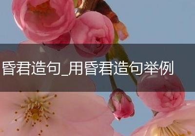 昏君造句_用昏君造句举例