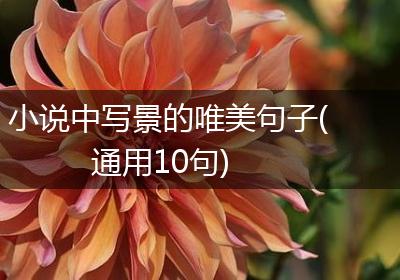 小说中写景的唯美句子(通用10句)