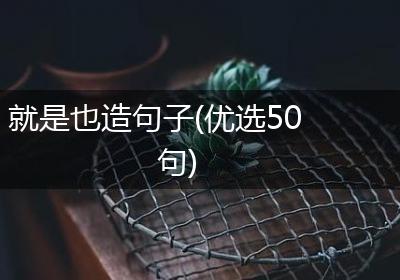 就是也造句子(优选50句)