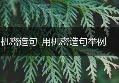 机密造句_用机密造句举例