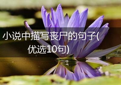 小说中描写丧尸的句子(优选10句)