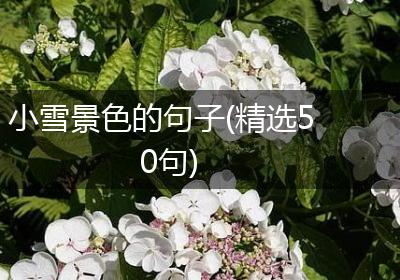 小雪景色的句子(精选50句)
