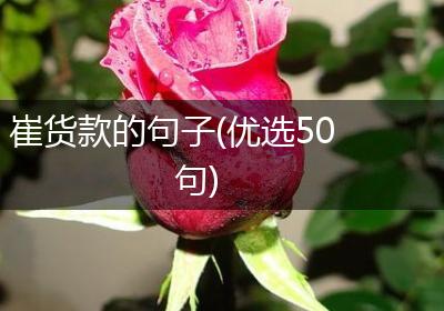 崔货款的句子(优选50句)