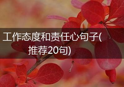 工作态度和责任心句子(推荐20句)