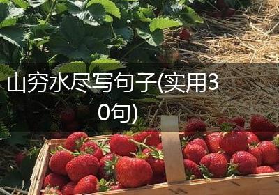 山穷水尽写句子(实用30句)